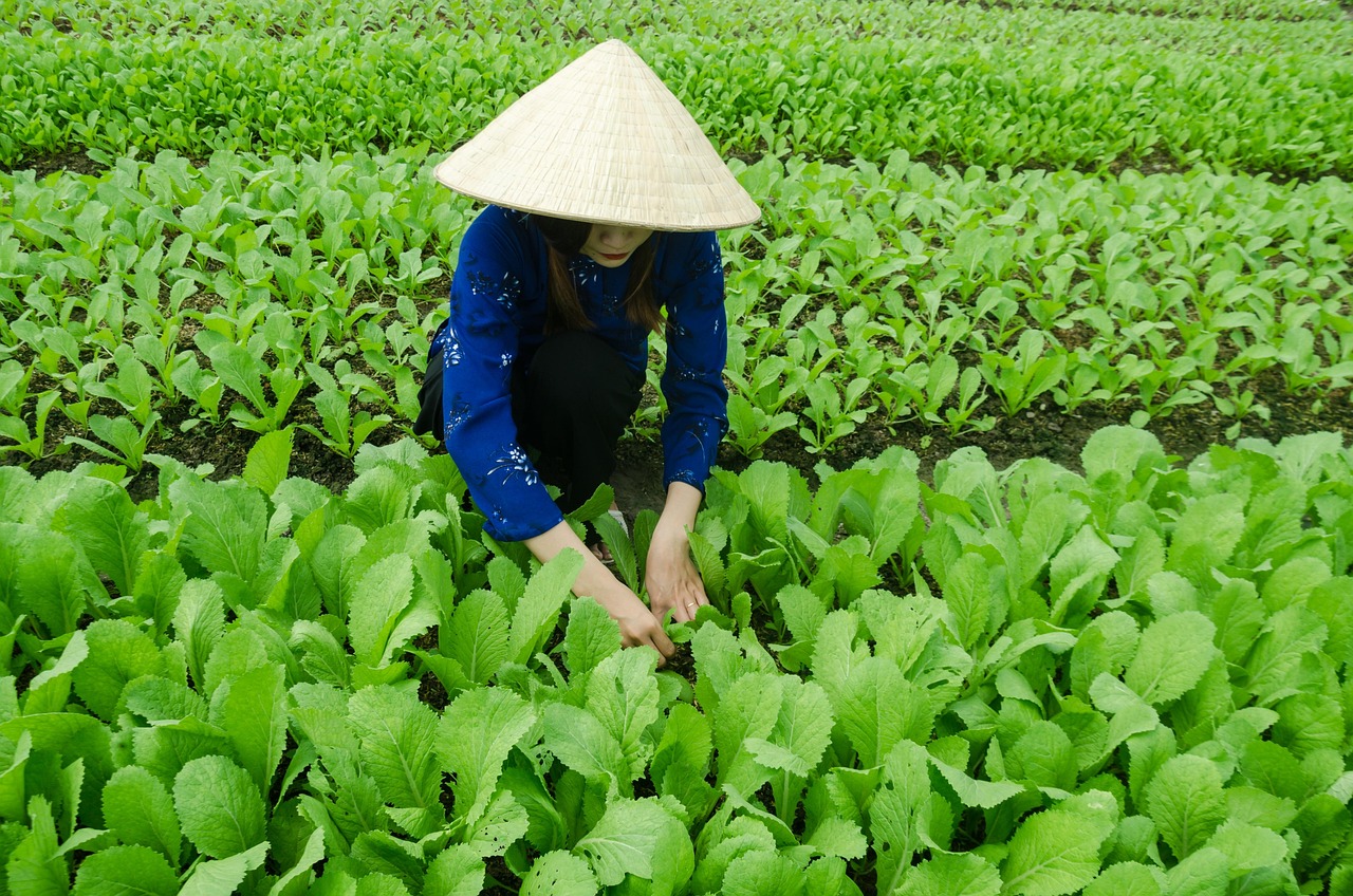 长葛撤县设区最新动态，转型发展开启崭新篇章