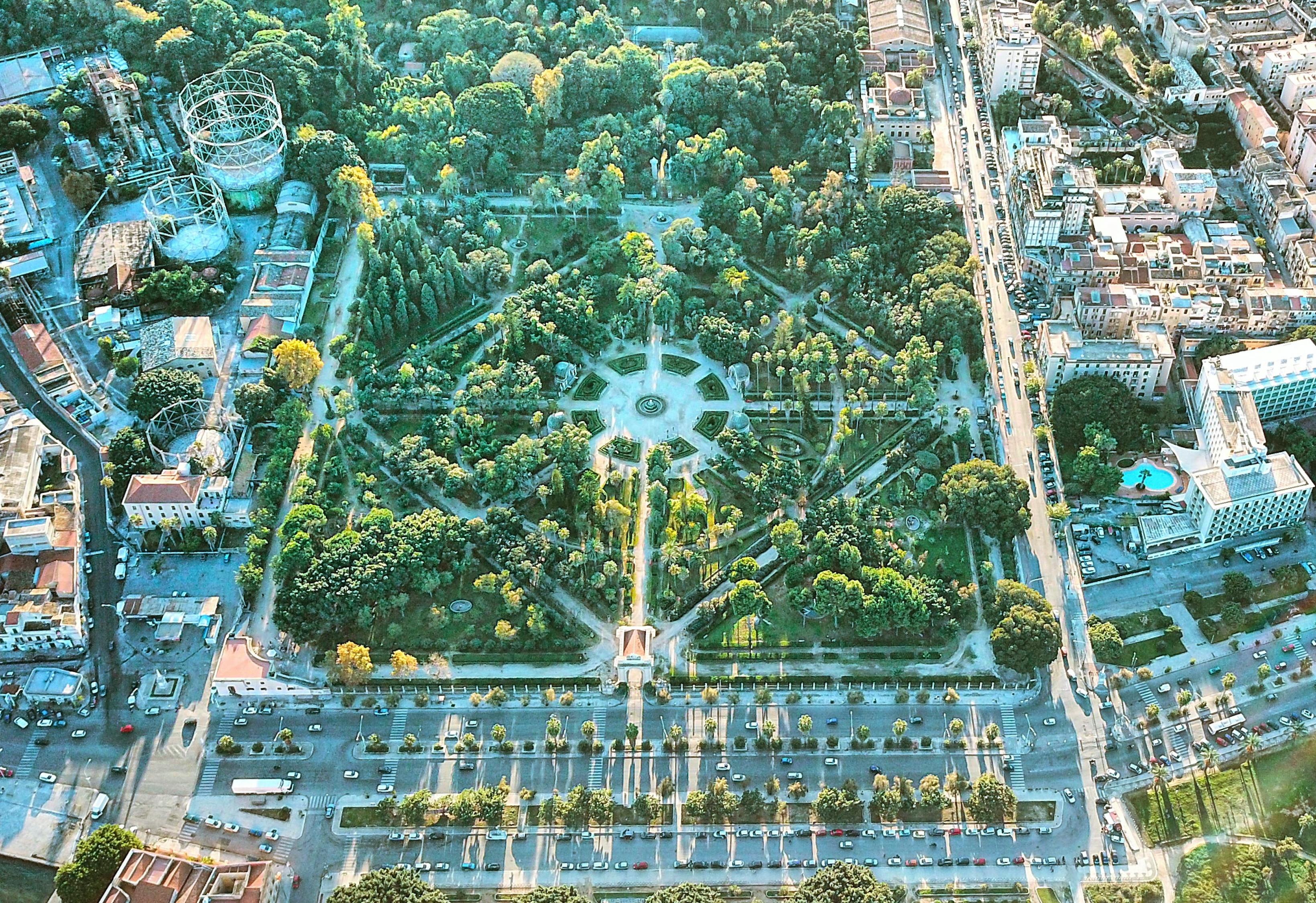 禅城最新疫情动态，全面应对，守护家园安全