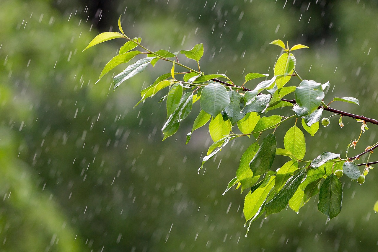 河南暴雨最新情况，挑战与应对