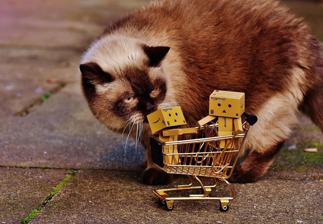 猫鼠新篇，跨越时空的奇异友谊之旅