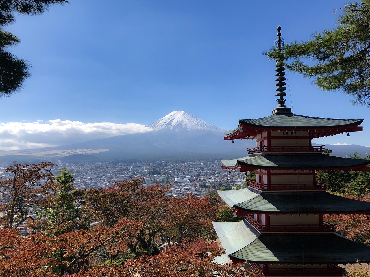 富士山火山最新动态，活动更新与影响分析