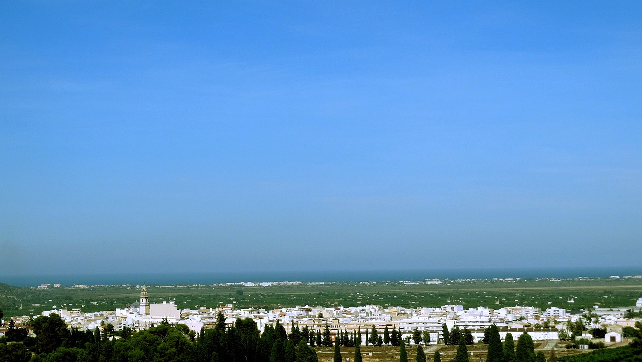 美国股市实时动态深度解析，市场走势一览无余