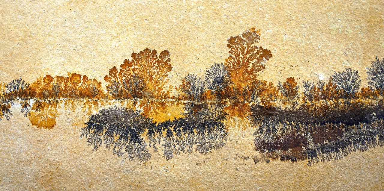 素描图片与动漫，艺术交融之美
