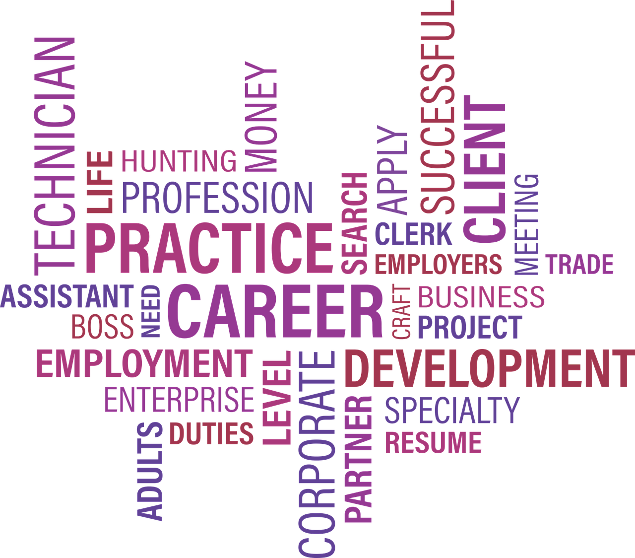 白马井最新职位招聘,人才与机遇的交汇点寻找行动启动!