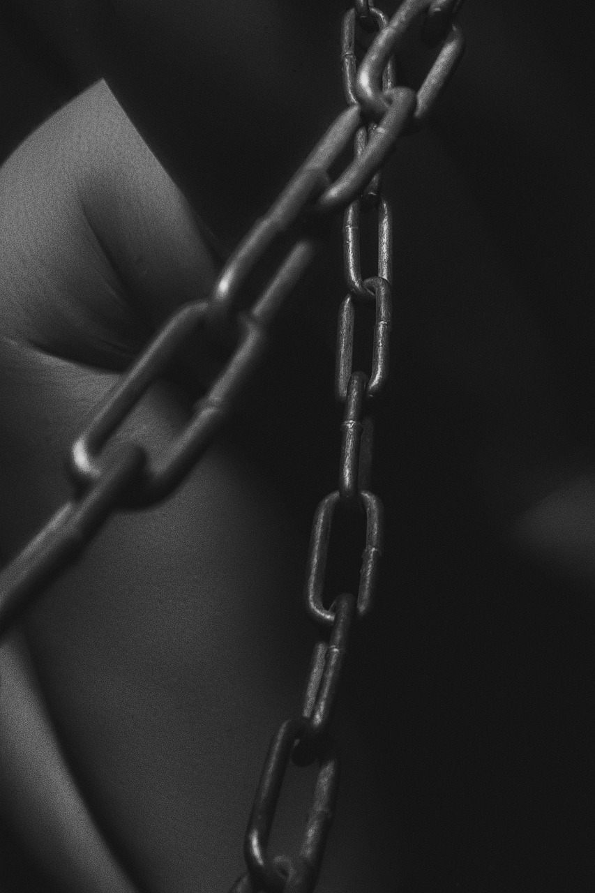 女性遗体解剖资料揭秘，探索人体奥秘的最新篇章