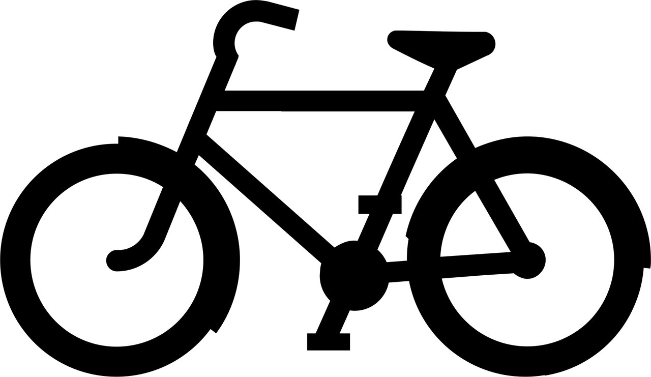 蒲城公园大境最新动态揭秘