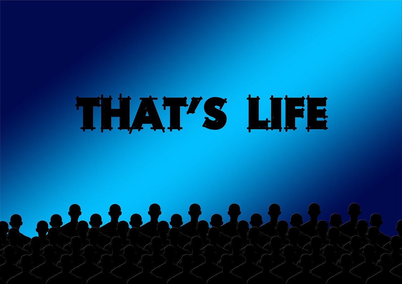 数字时代影视娱乐新领域,免费成人电影观看探索