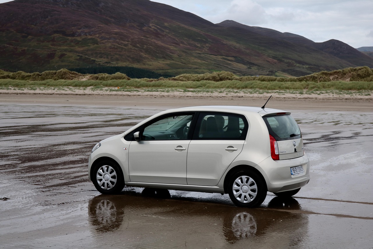 迁曹高速最新动态揭秘,建设进展与未来展望(XXXX年)