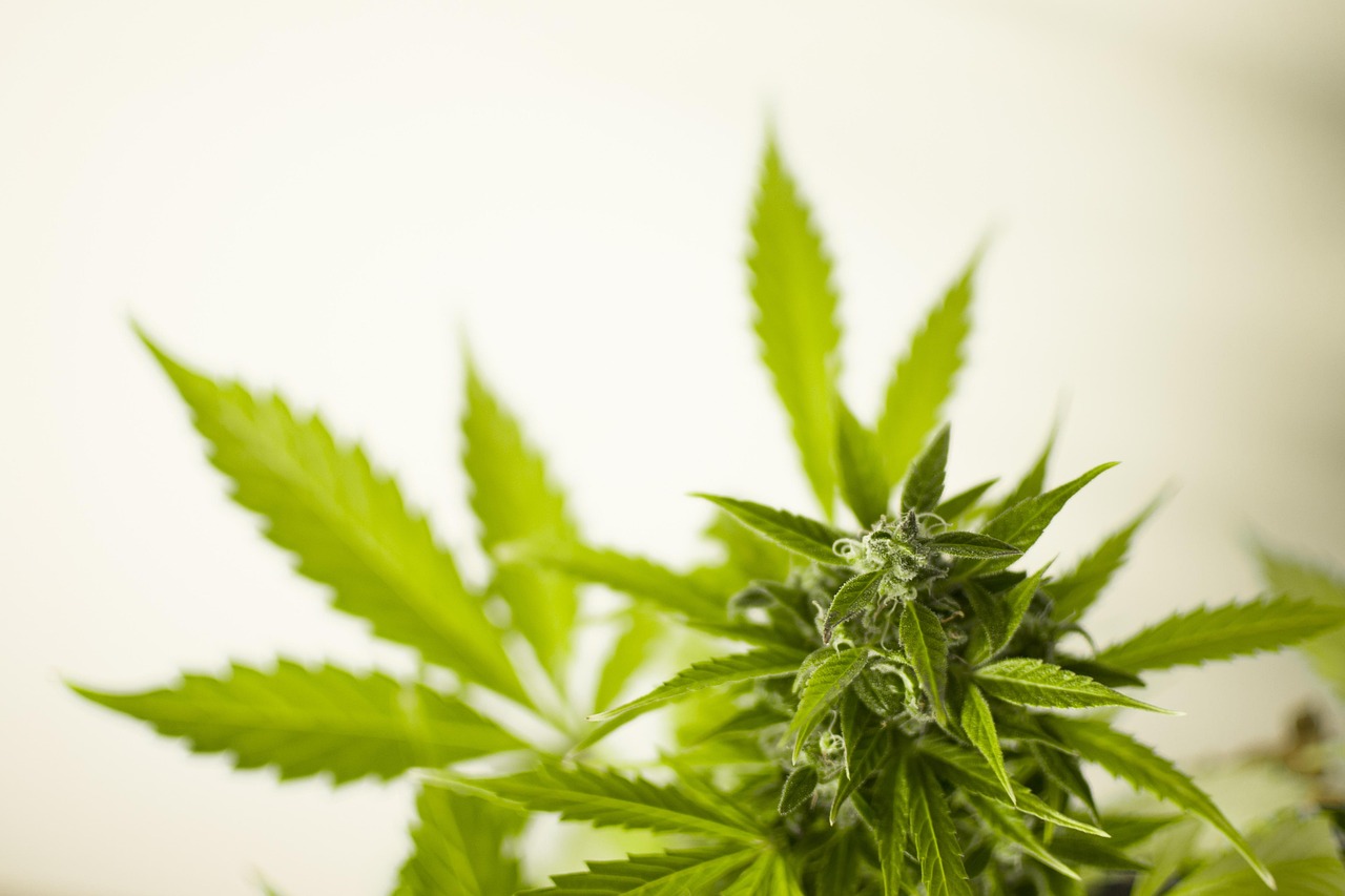 常州非法集资最新动态,风险预警与应对策略