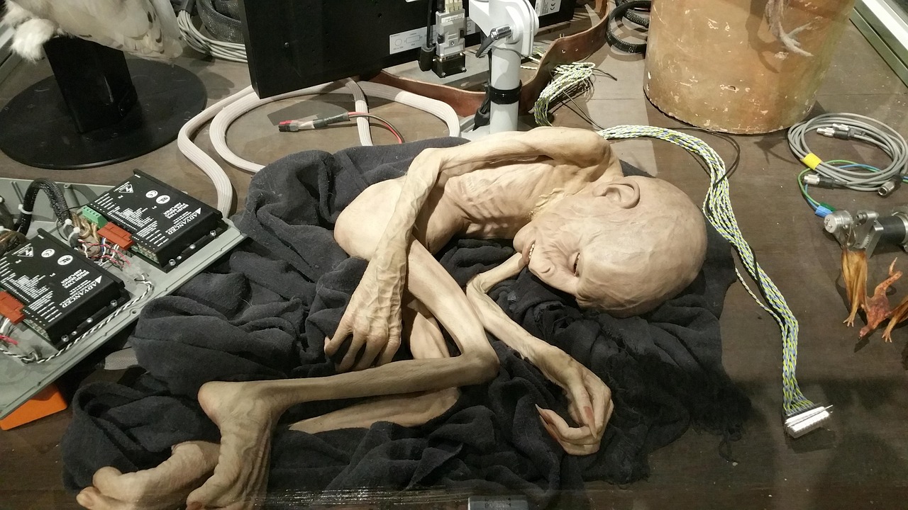 哈利波特火焰杯演员表,角色深度解析与演绎概览