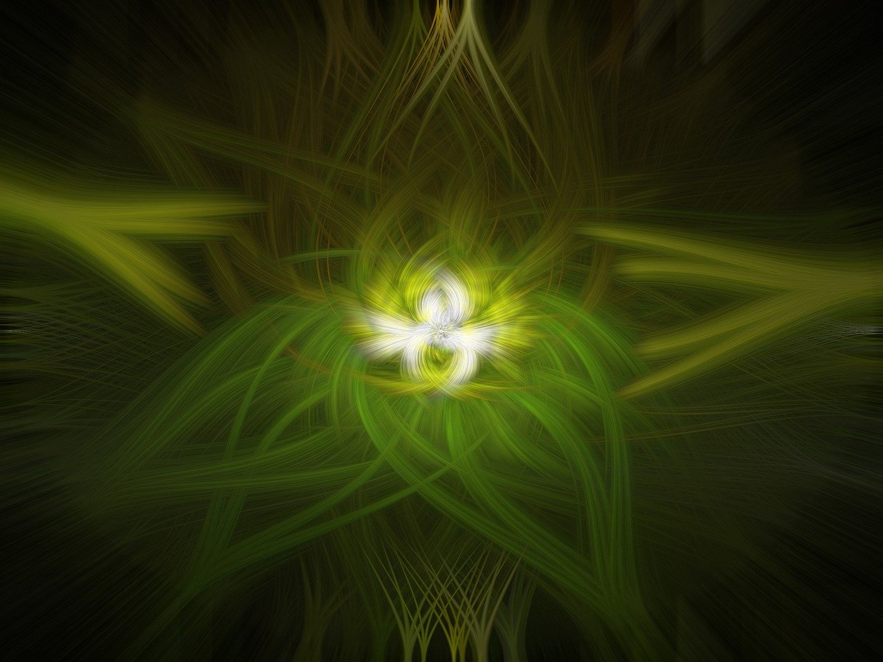 昆山滴滴快车最新动态揭秘,探索未来出行新模式