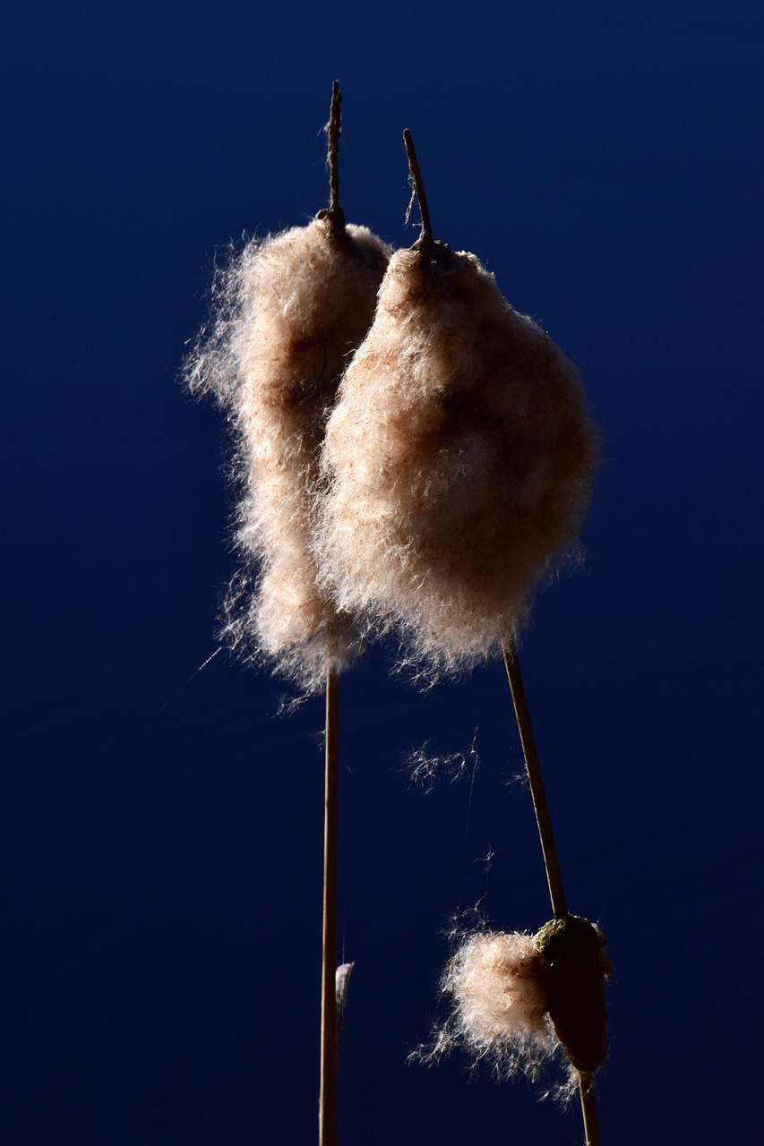 永湖伯恩新工厂最新进展动态速递