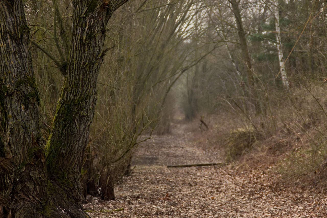 萝岗东荟城最新报价，洞悉房地产市场动态的全面解析