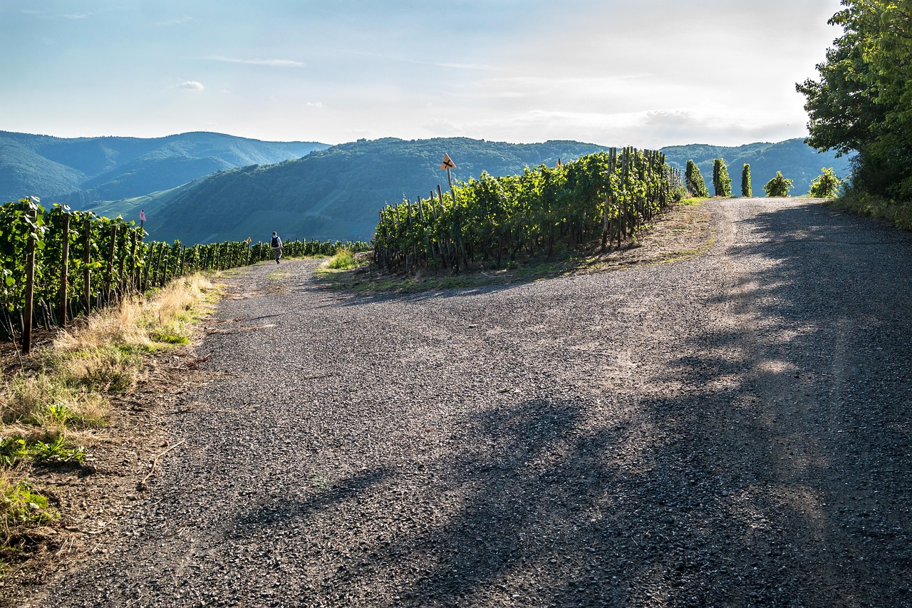 中印边境最新动态,两国关系的微妙变化与未来展望