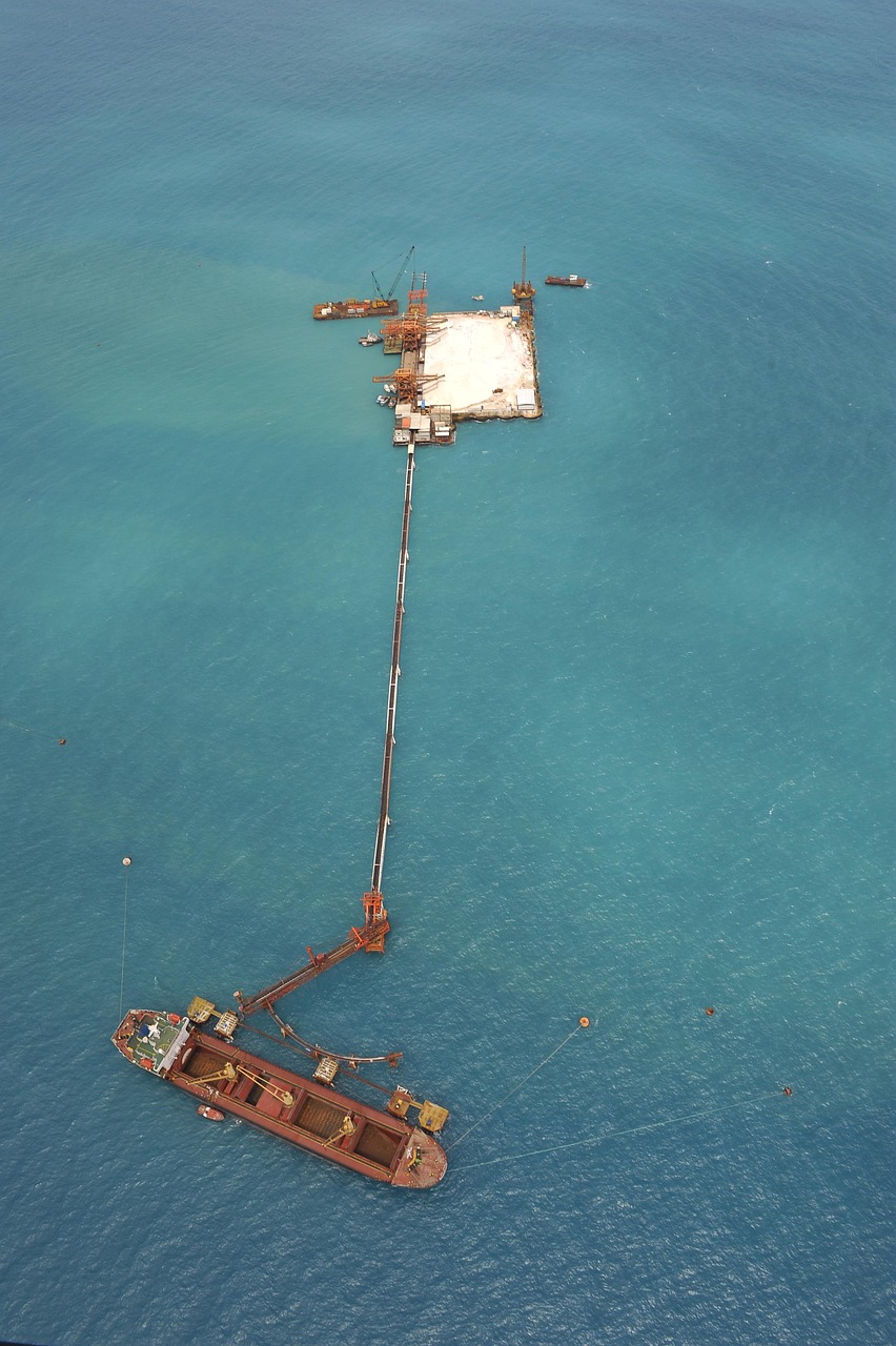 上港集团引领港口物流行业迈向新高度,最新动态速递