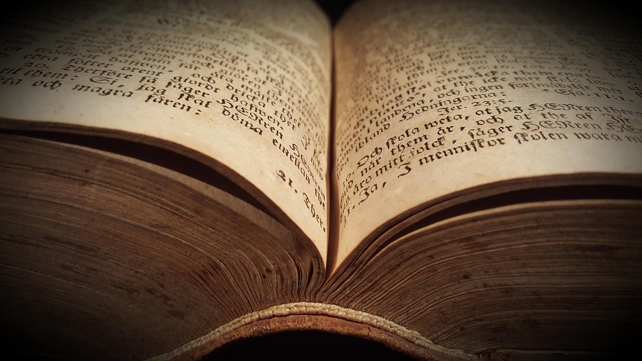 最新疫情感人故事,无畏的坚守与生命的温暖之光辉篇章