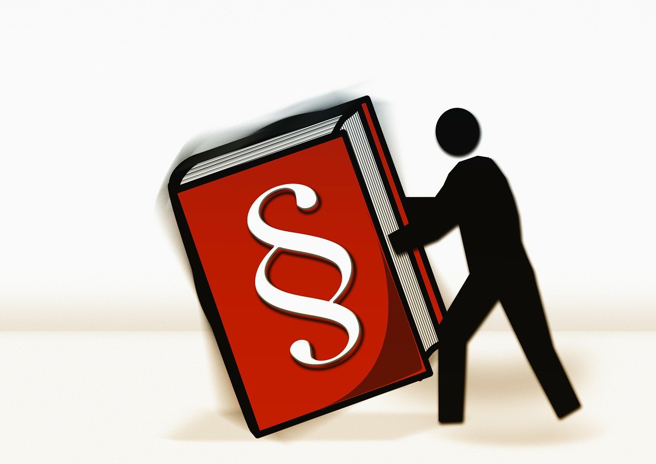 洽洽食品股票投资前景深度解析,展望食品行业的潜力与机遇