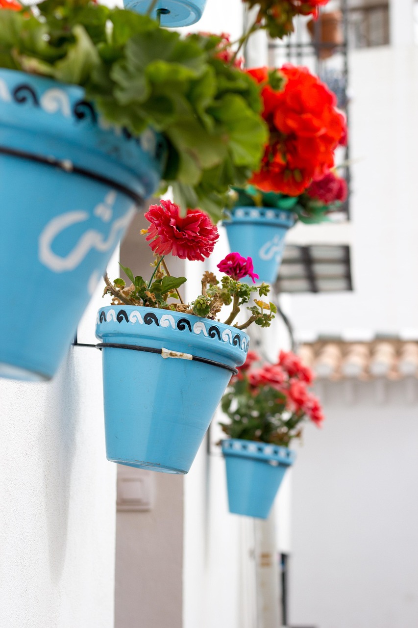 简阳迎宾大道最新动态,城市发展脉络与未来展望