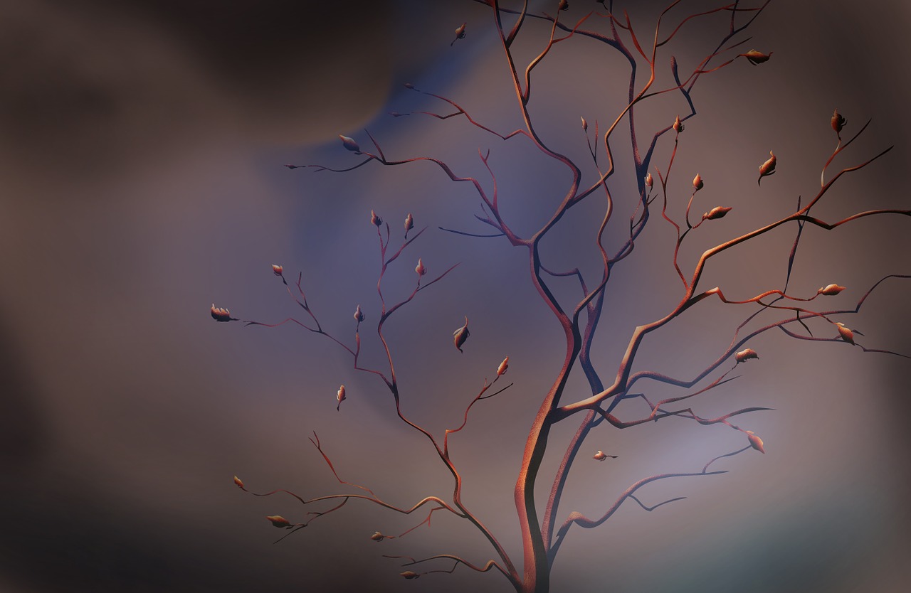 天台重点项目最新动态,助力地方经济高质量发展之路