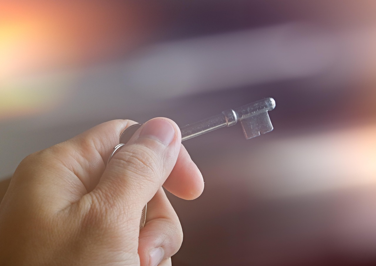 磷酸二铵最新市场价格动态分析概览