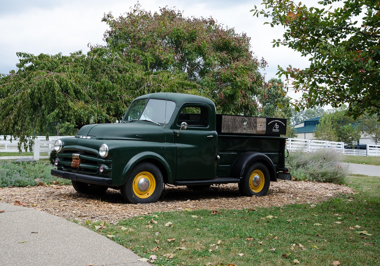 云蒙湖最新动态，生态发展驱动区域繁荣新篇章