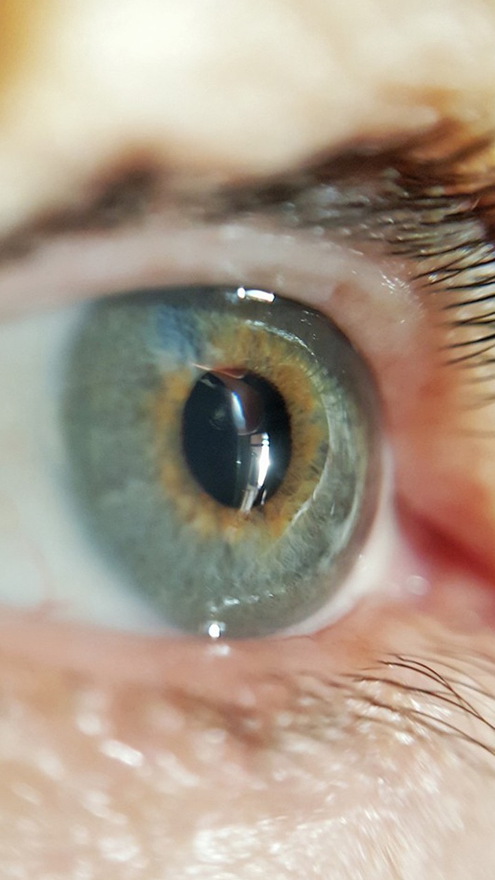 时尚潮流下的眉部美学新篇章，最新眉型展示