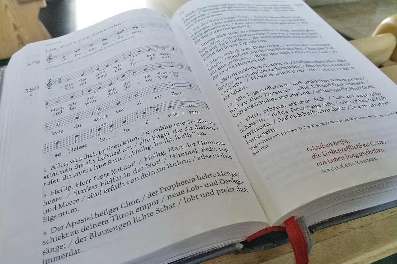 唱歌比赛作文,音乐的盛宴