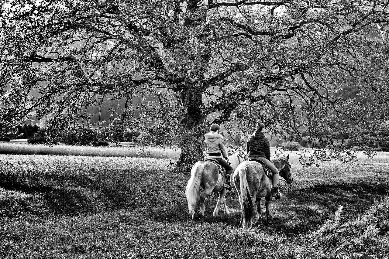 罗平板桥神秘生物揭秘,最新报道带你探索未知现象