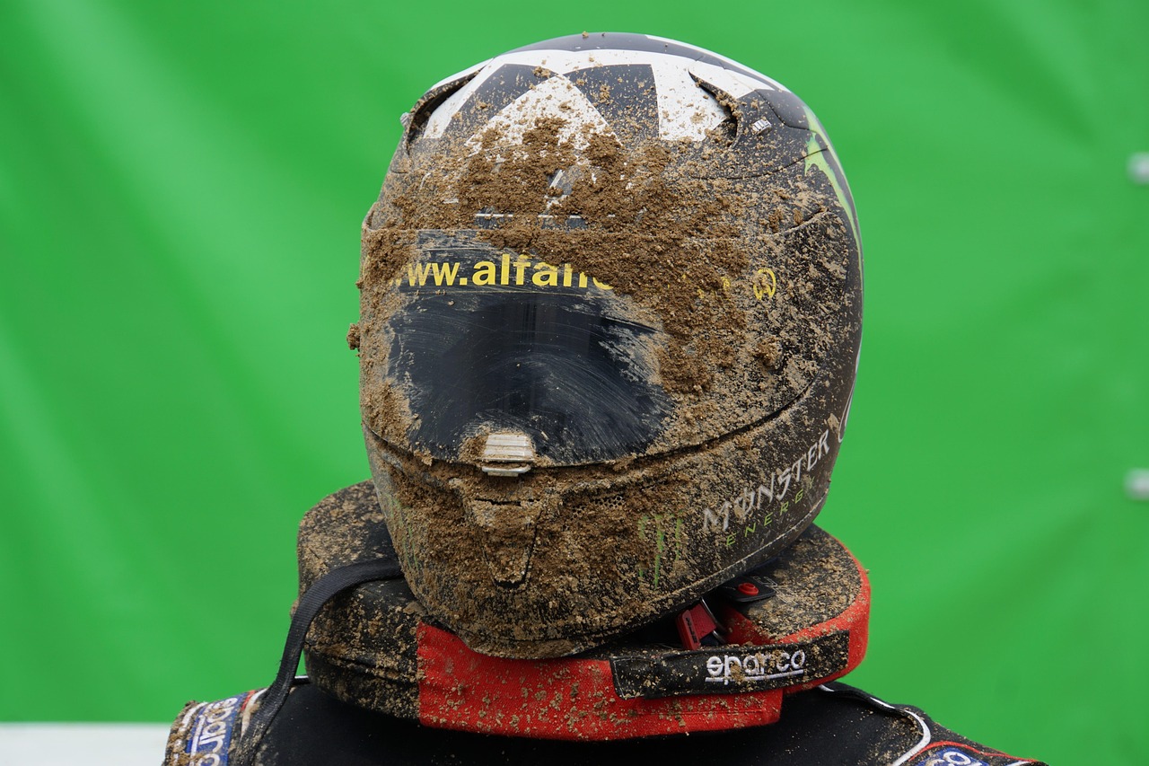 全球蝗虫灾害动态，应对策略与严峻挑战