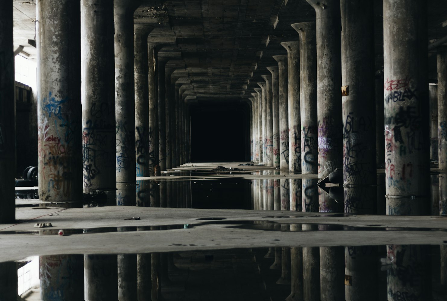 探索朴的最新动态，无尽可能的旅程