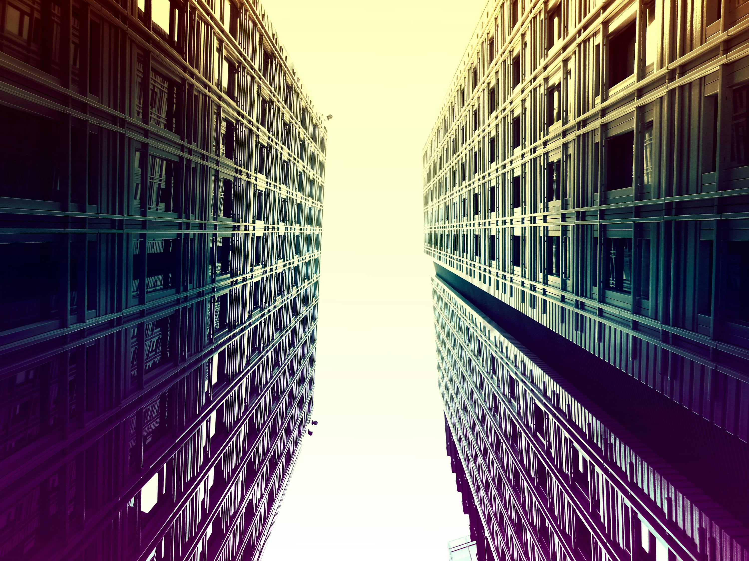 企业暂停上市后的挑战应对与未来重塑策略