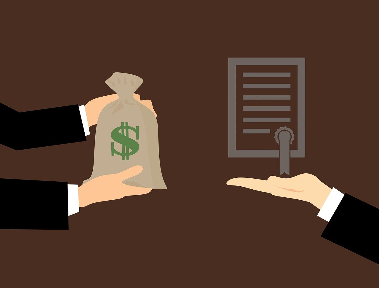 鸡蛋期货行情深度解读,1709期回顾与未来展望