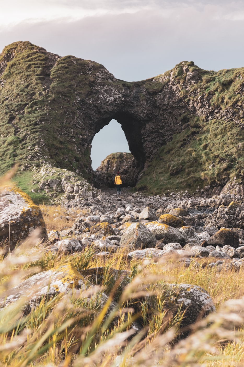 亚瑟网资讯,科技与社会动态的交汇点探索