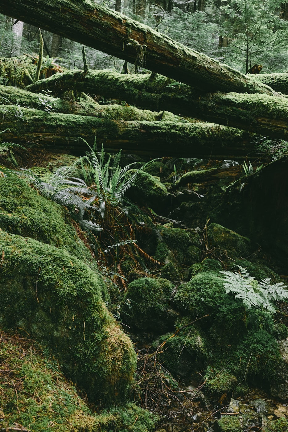 探索游戏世界最新动态,最新游戏资讯汇总