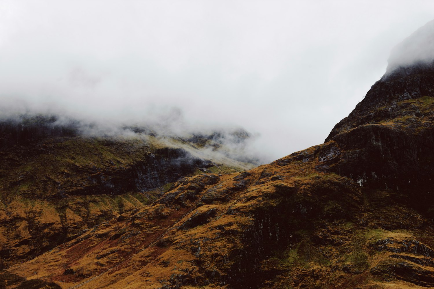 铁锈战争最新动态解析与深度探讨