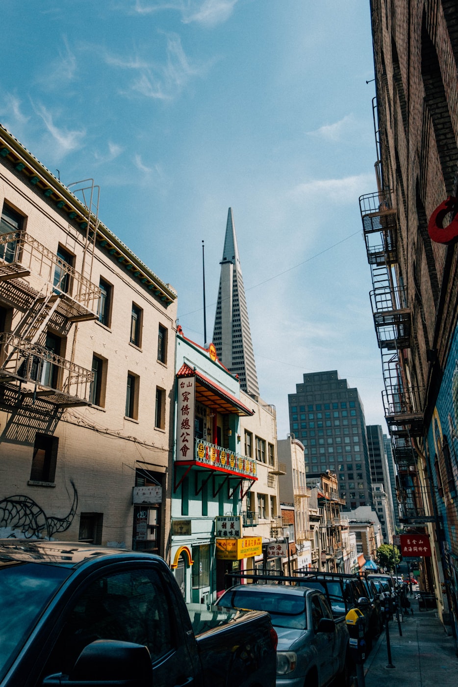 傲娇茜新动态揭秘,多元领域的璀璨明珠探索之旅