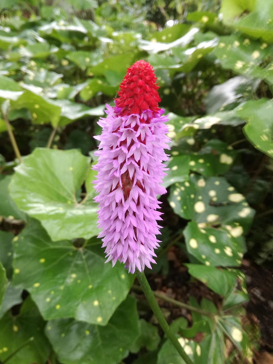 2016扫黄最新动态,监管行动与深刻反思