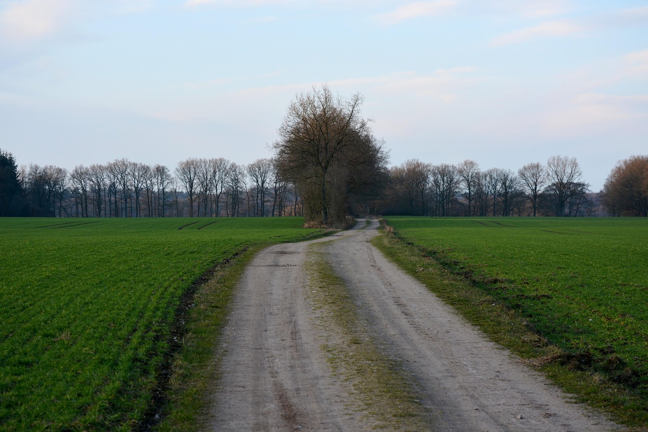 宜昌西坝搬迁最新政策解读及其实施细节分析