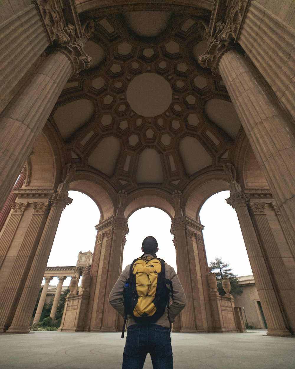 探索神秘巨钳天蝎花园的隐藏位置之旅