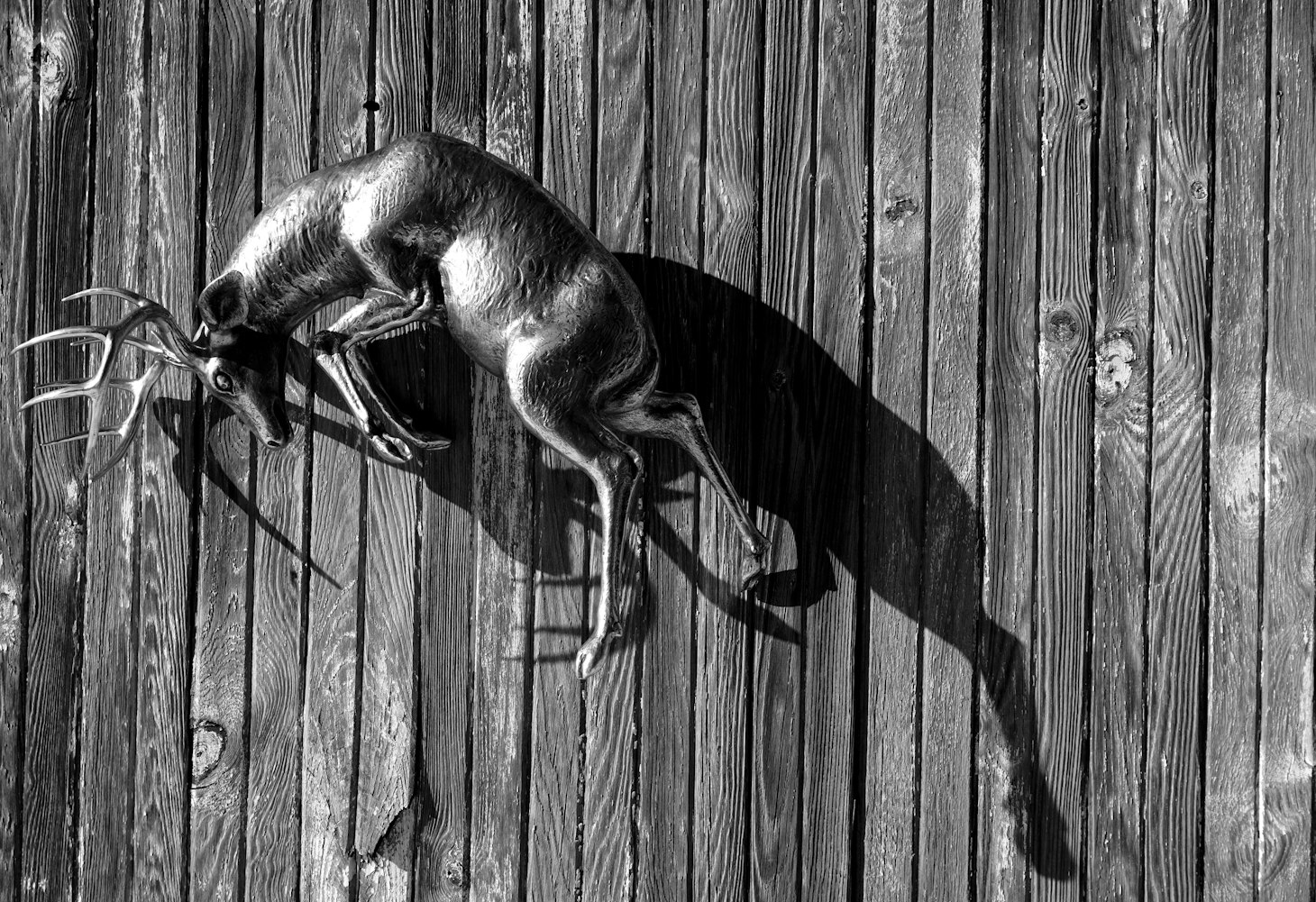 卡鲁索最新作品揭秘，探索艺术新领域的独特魅力