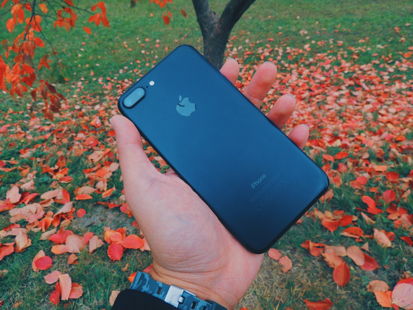 OPPO最新手机型号发布,科技与时尚的先锋引领者