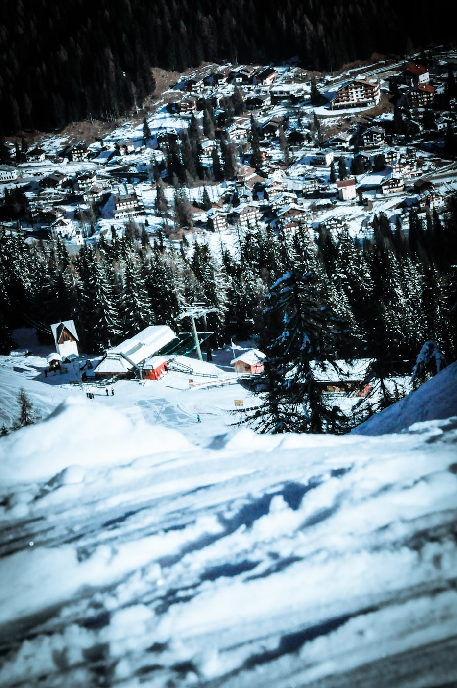 读书新动态,探索知识的新时代潮流之旅