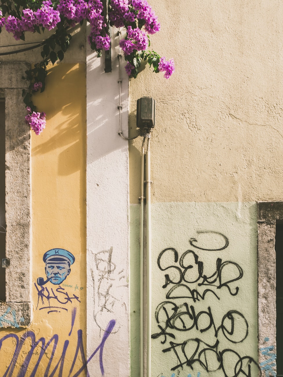 红牛爹最新动态揭秘,引领潮流,探索未知的世界