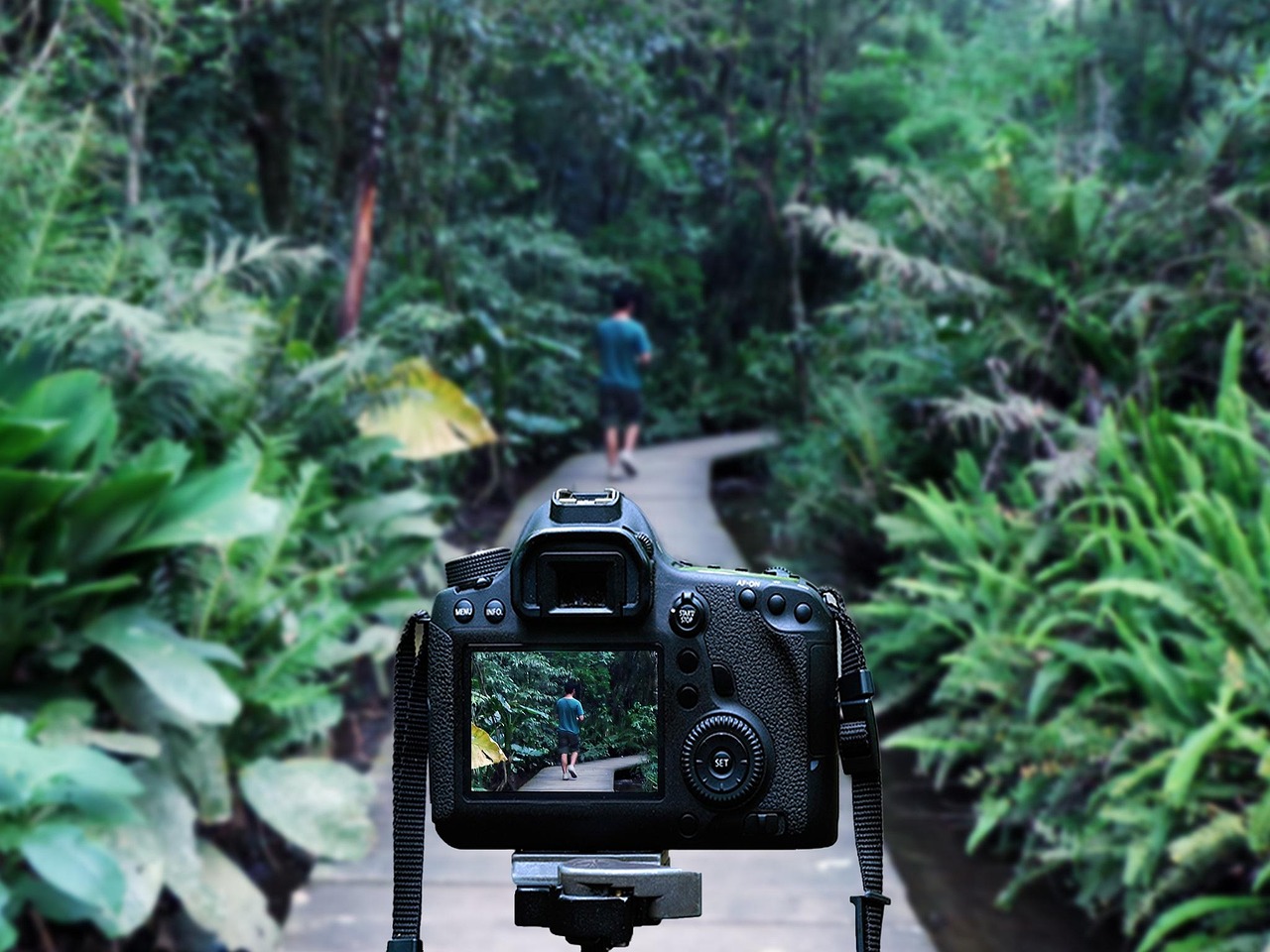 杜陵遗址公园二区最新进展揭秘