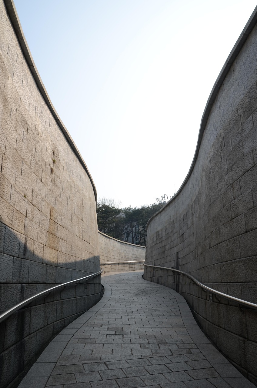 民国十年袁大头价格,历史价值、市场动态与收藏投资热门话题