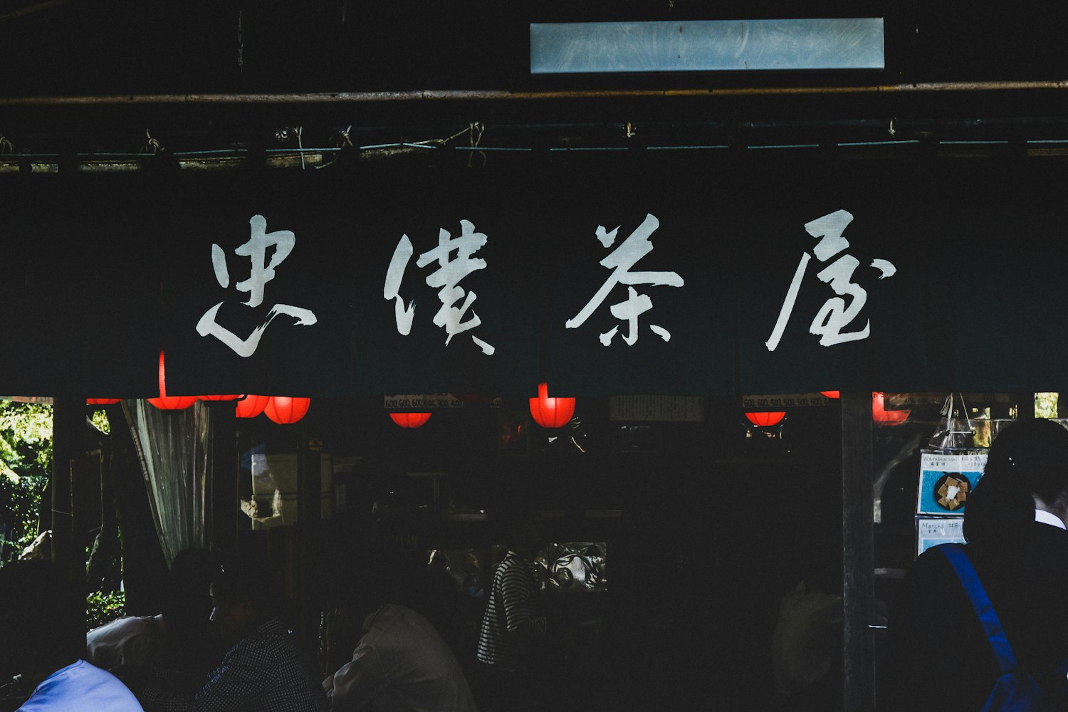 探索最新视频网站的崛起与变革,未来娱乐新领域展望