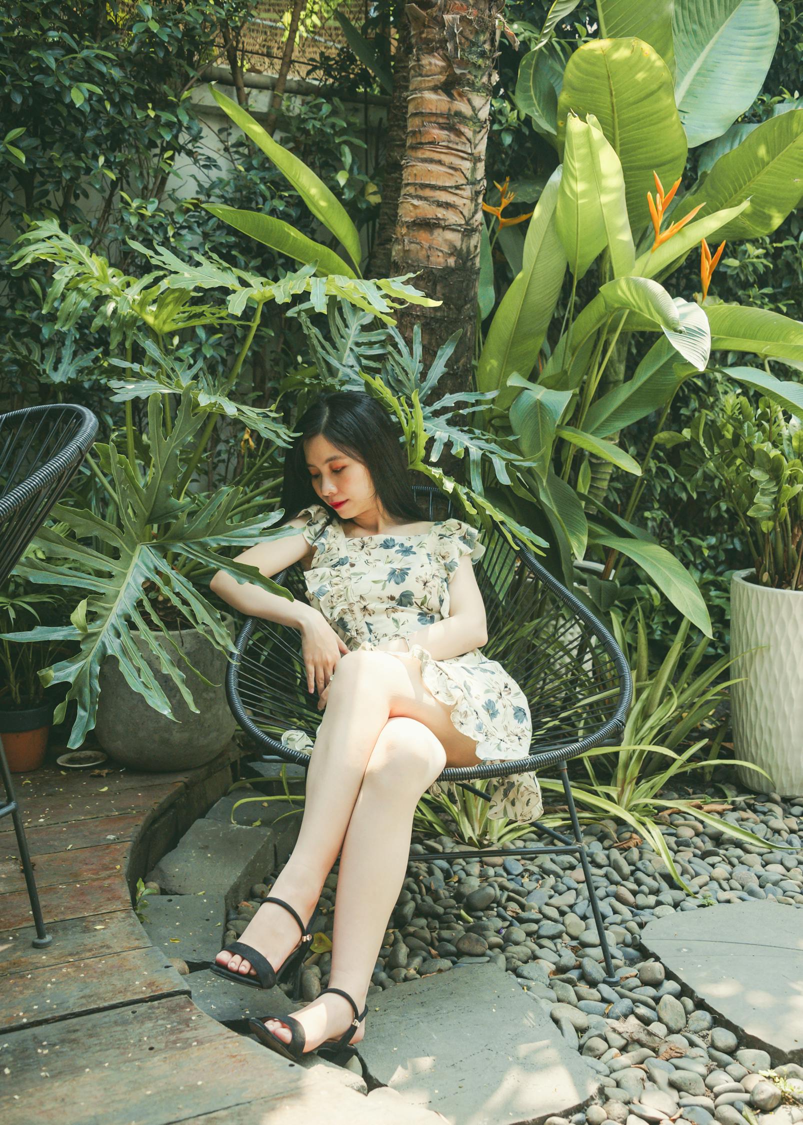 林沐沈微成,情感细绘的章节更新