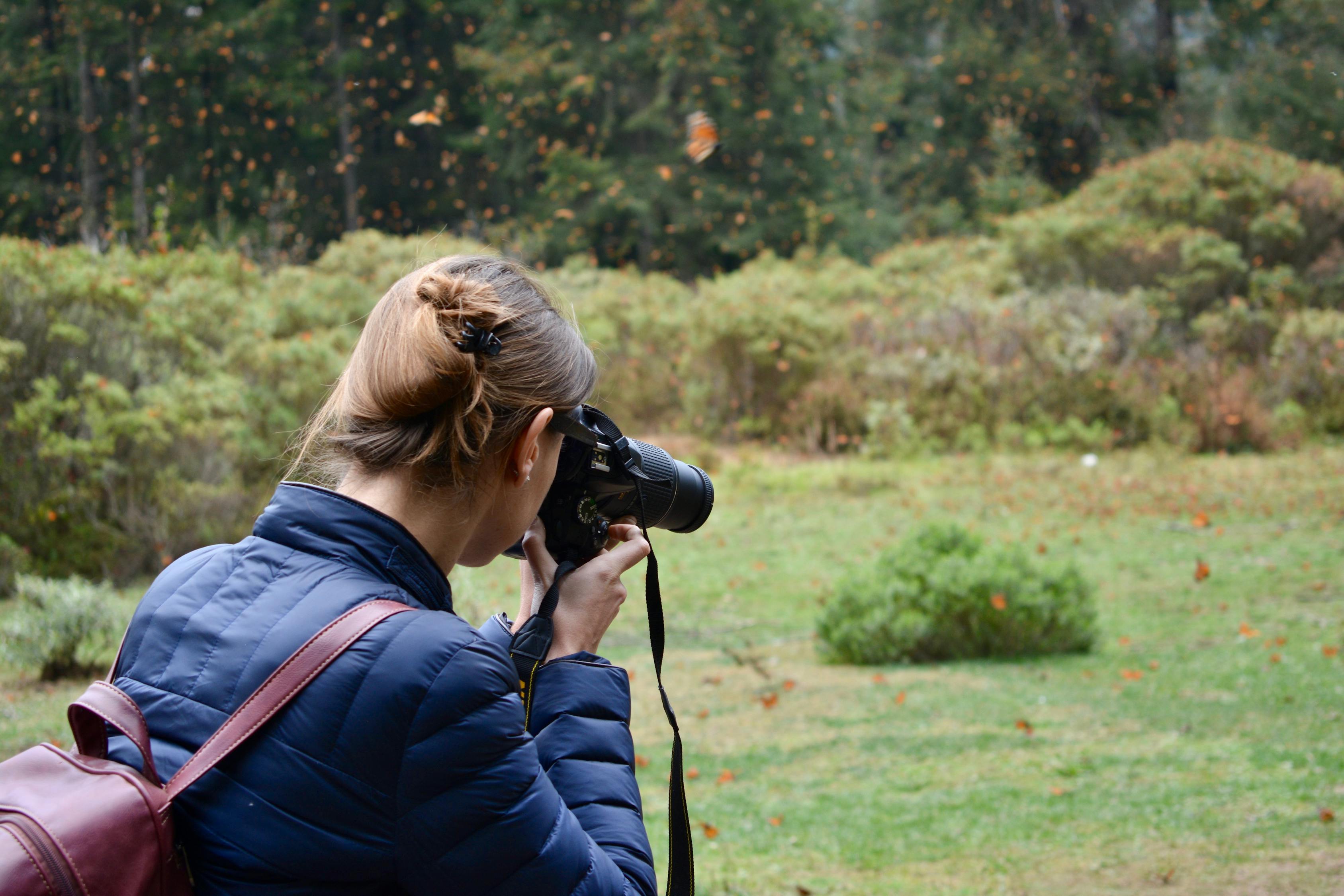贾玲新电影,探索、突破与期待之路