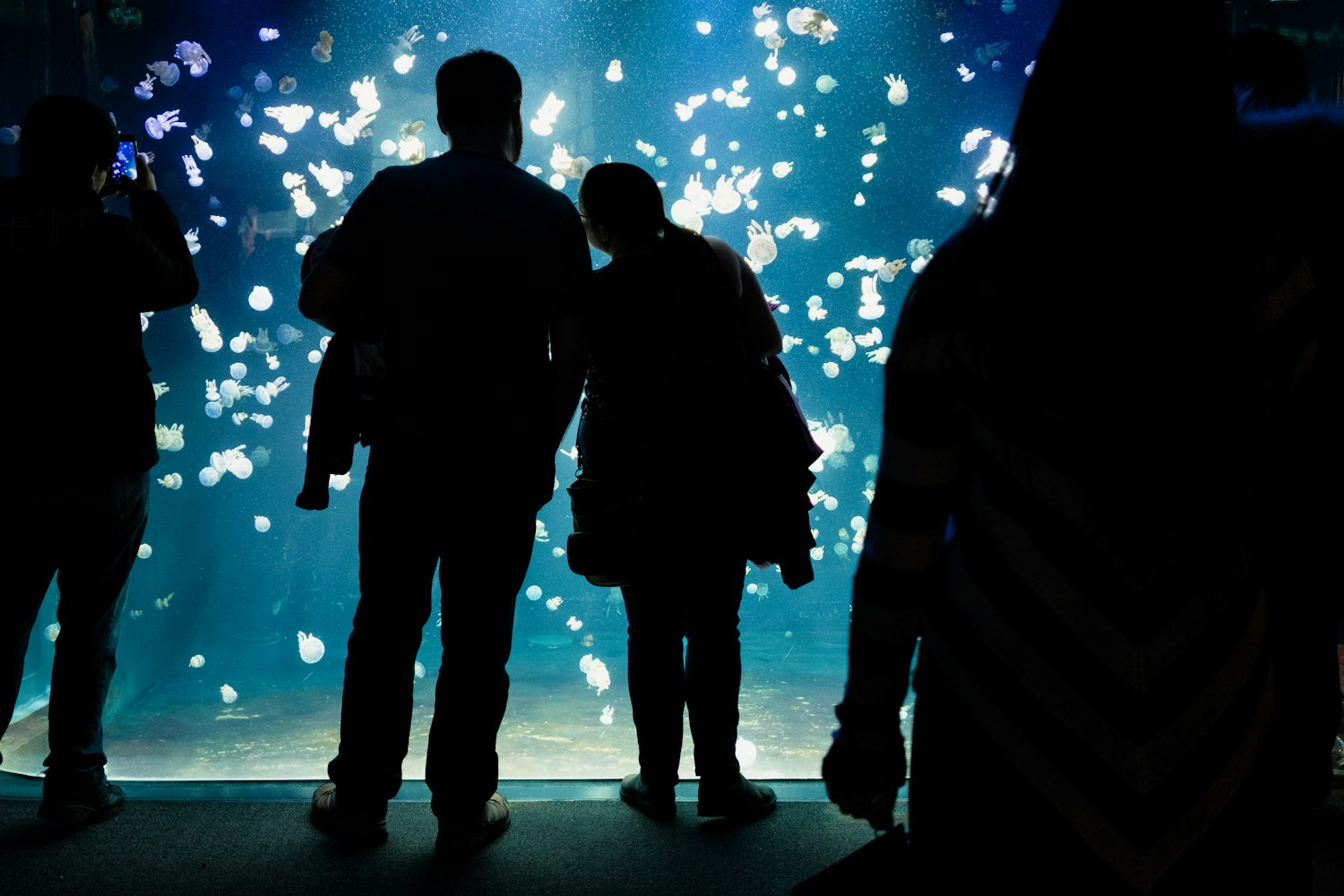 蔡徐坤最新动态壁纸,潮流与粉丝情感的完美交融