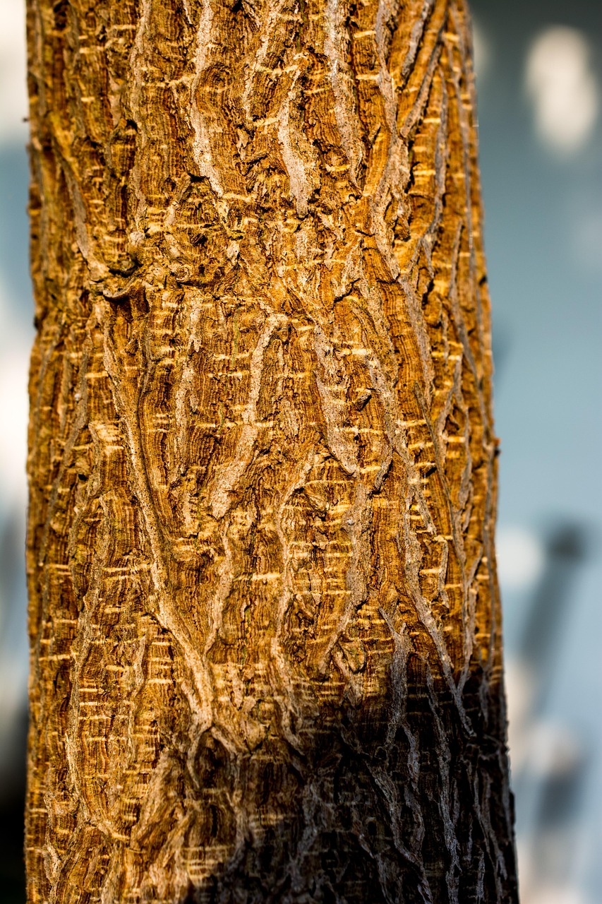 关于Z2号线地铁的最新动态报道或更新消息